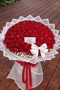 Legend 101 ROSES